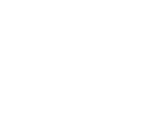 LoLo Lemonade